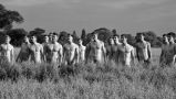 Warwick Rowers 2015 naked calendar