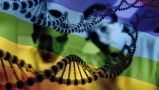 DNK otkriva je li netko gay?